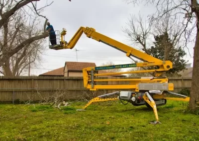 Affordable tree service
