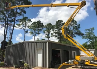 Amazing tree service
