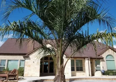 Dependable tree care