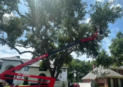 Efficient tree expert