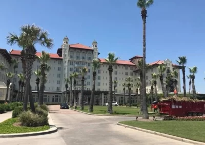 Excellent tree service