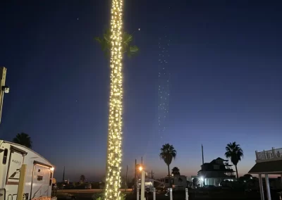 Exceptional Tree Company
