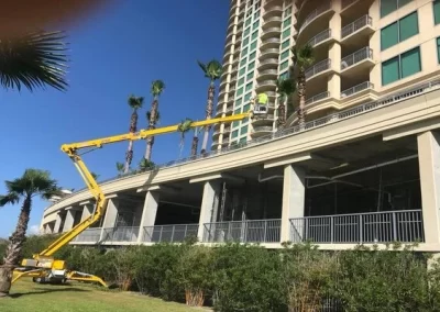 Great tree service