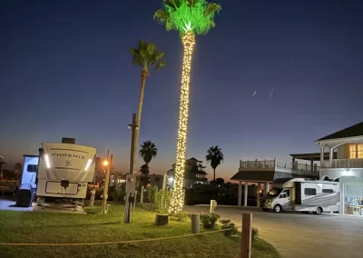 Outstanding Tree Company