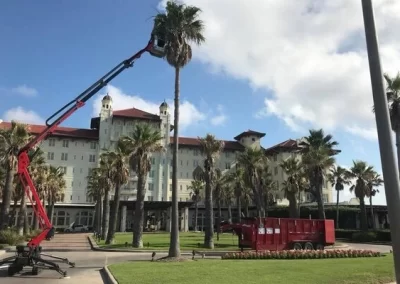 Superb tree service