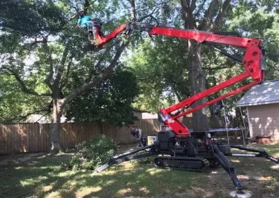 Top-notch tree service