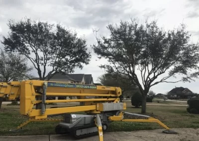 Top-rated tree service