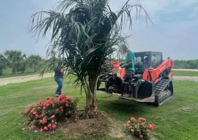 Trusted tree care