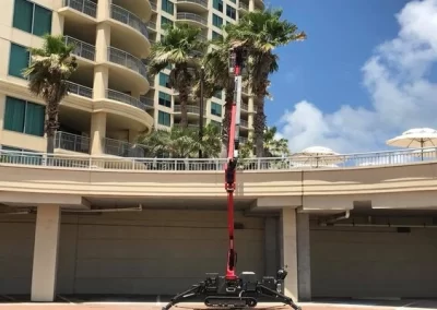 Trusted tree service