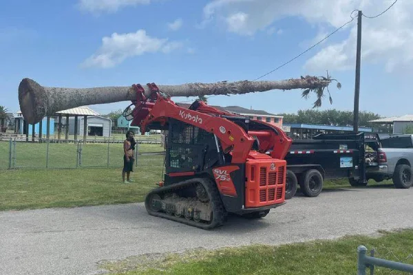Tree Removal