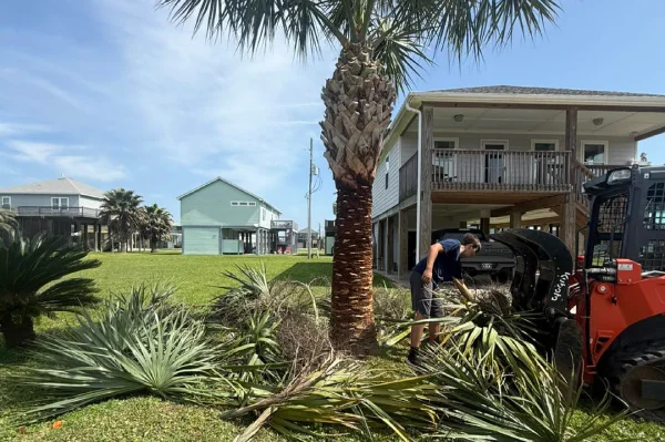 Tree Trimming